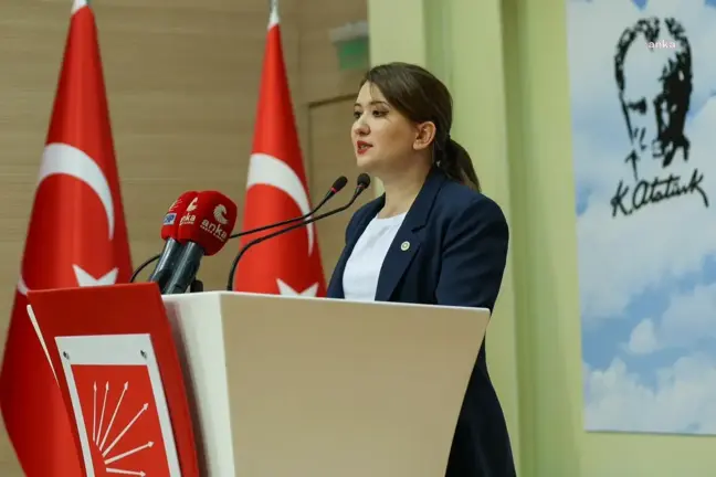 CHP Genel Başkan Yardımcısı Gökçe Gökçen'den kadınların soyadı düzenlemesine tepki