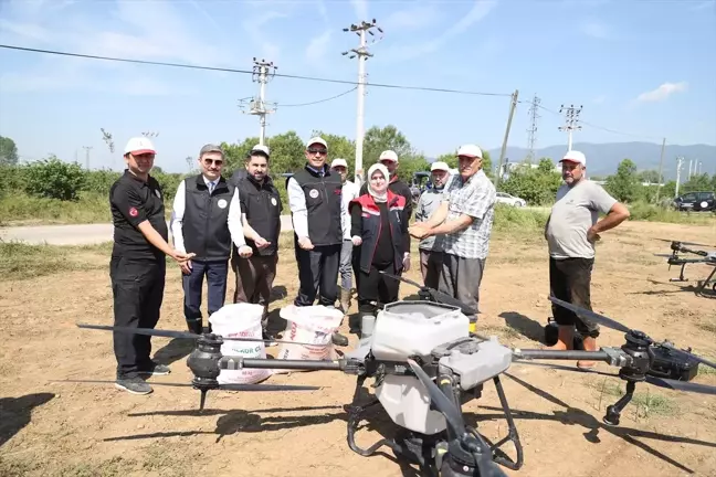 Düzce'de Konuralp pirinci ekimine başlandı