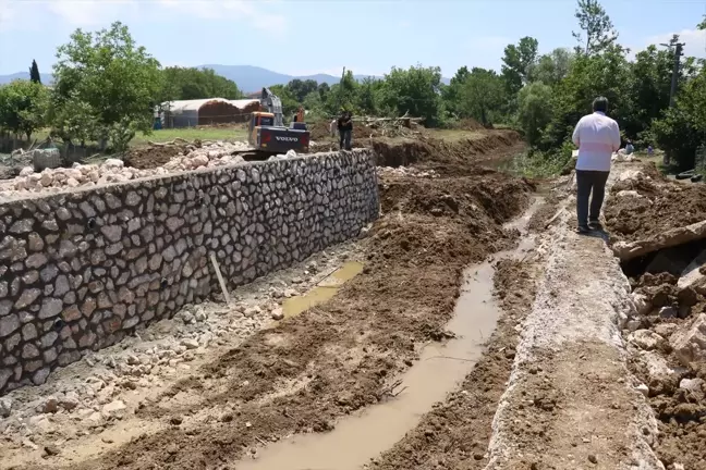 Yalova'da ıslah çalışması sırasında bulunan kaplumbağalar başka bir dereye nakledildi