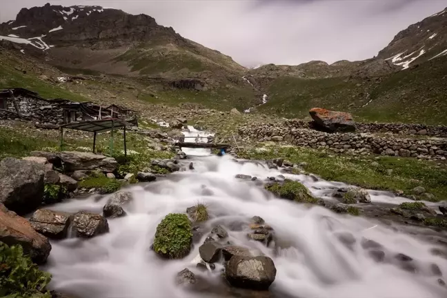 Erzurum-Rize sınırındaki yaylalar doğaseverleri bekliyor