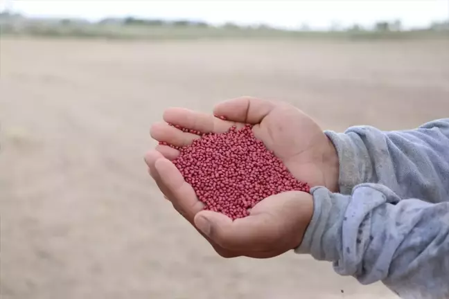 Niğde'de sorgum-sudan otu ekimi destekleniyor