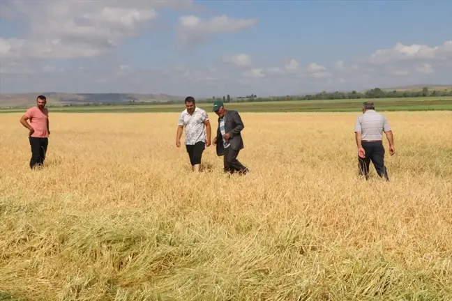 Yozgat köylerinde dolu hasara neden oldu