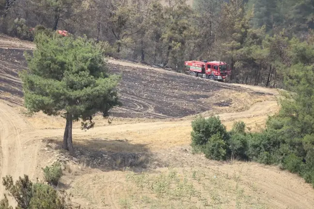 Adana'da orman yangını kontrol altına alındı