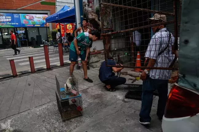 Bangkok'taki Hayvan Pazarında Çıkan Yangında Binlerce Hayvan Öldü