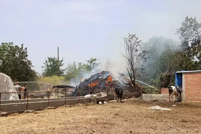 Edirne'de çiftlik yangınında 1000 ot balyası zarar gördü