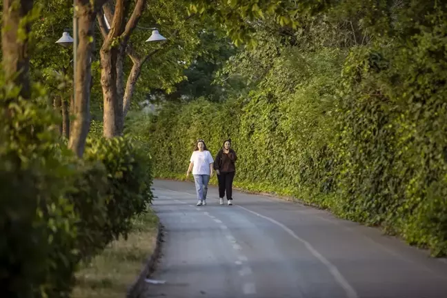 Kurban Bayramı tatilinde Kandıra, Sapanca ve Akçakoca tercih ediliyor