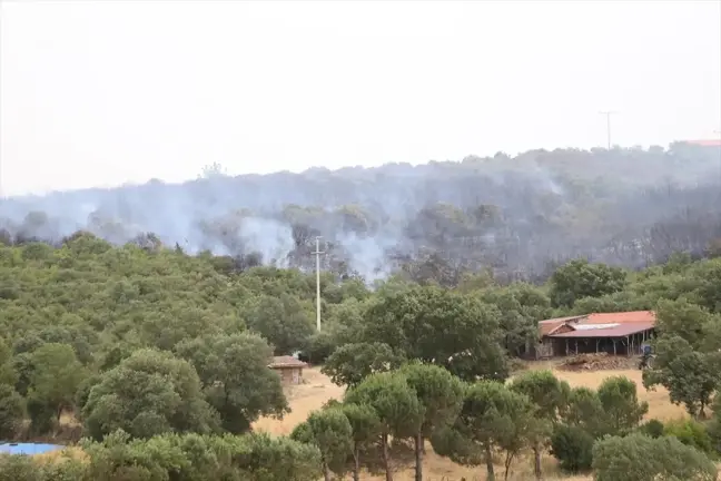 Balıkesir İvrindi'de Orman Yangını Kontrol Altına Alınmaya Çalışılıyor