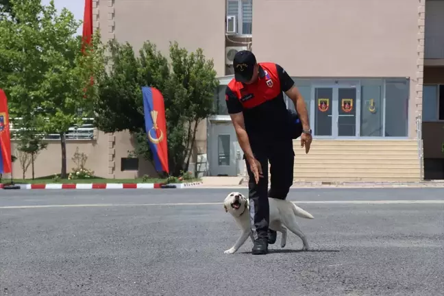 Kırklareli'nde Jandarma Teşkilatının Kuruluşu Kutlandı