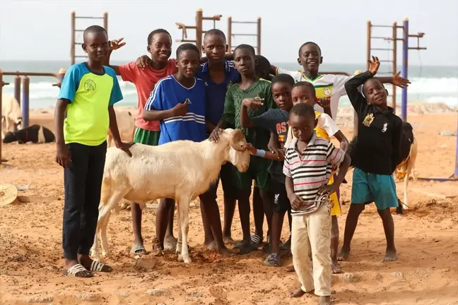 Senegal'de Kurban Bayramı'na Hazırlık Devam Ediyor