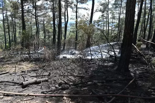 Çanakkale'deki Orman Yangını Kontrol Altına Alındı