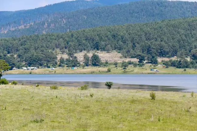 Bolu ve Kocaeli'de Serinlemek İçin Yaylalar ve Sahiller Tercih Edildi