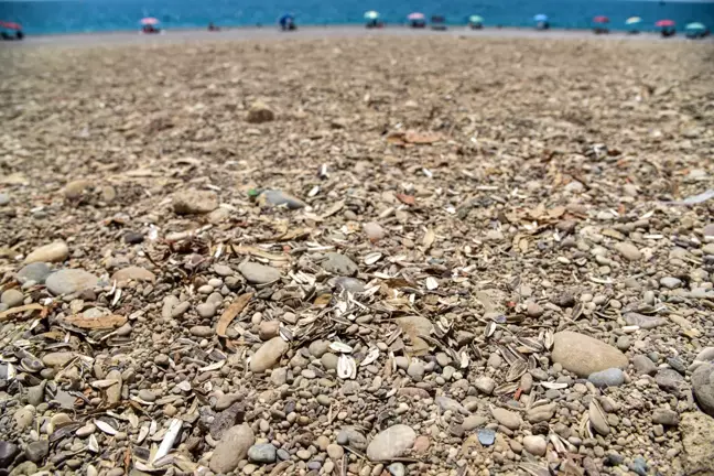 Konyaaltı Sahili'nde İzmarit ve Atık Kirliliği