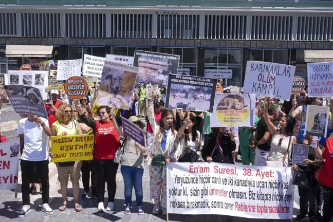 Ankara'da Hayvanseverler Sahipsiz Hayvanlara Yapılacak Düzenlemeyi Protesto Etti