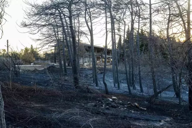 Yükseköğretim Kurulu Başkanı Bursa Uludağ Üniversitesi'ndeki yangınla ilgili açıklama yaptı