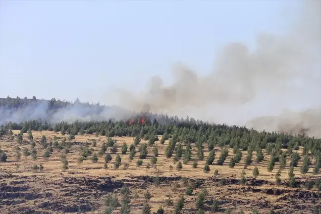 Kahramanmaraş'ta Orman Yangını Kontrol Altına Alındı