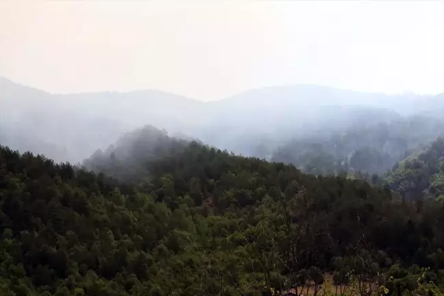 Kastamonu İhsangazi'de Orman Yangını Söndürme Çalışmaları Devam Ediyor