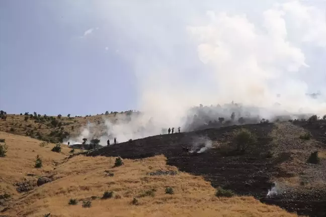 Muş'ta çıkan örtü yangını ekiplerin müdahalesiyle söndürüldü