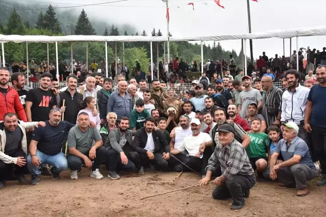 Artvin'de Kafkasör Kültür, Turizm ve Sanat Festivali'nde Boğa Güreşleri Heyecanı