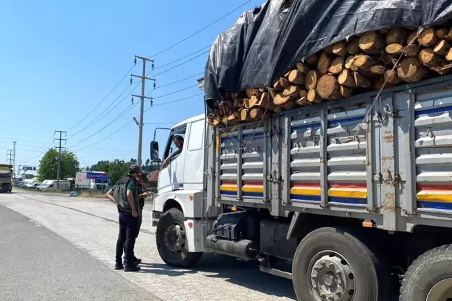 Düzce Orman İşletme Müdürlüğü, Kaçak Emval Nakliyatına Karşı Denetimler Yapıyor