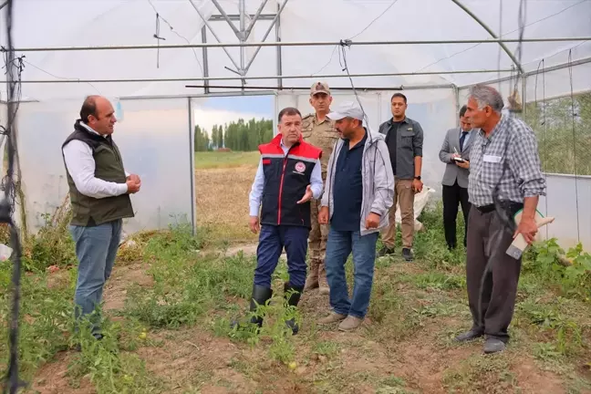 Bayburt Valisi Mustafa Eldivan, yağıştan zarar gören tarım arazilerini inceledi