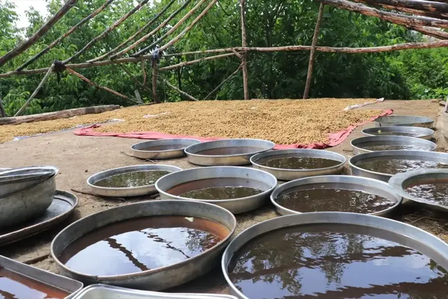 Erzincan'ın Kemaliye ilçesinde geleneksel yöntemlerle dut pekmezi üretimi