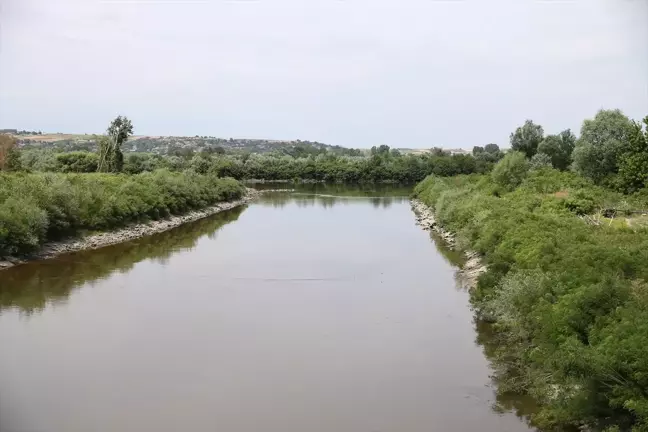 Edirne'de Meriç Nehri'nde temizlik çalışması yapılacak