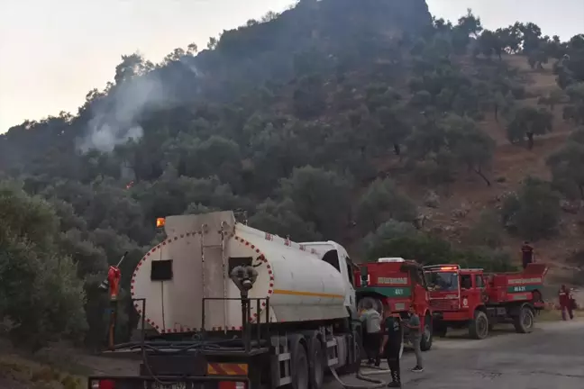 Aydın'ın Germencik ilçesinde çıkan yangın kontrol altına alındı