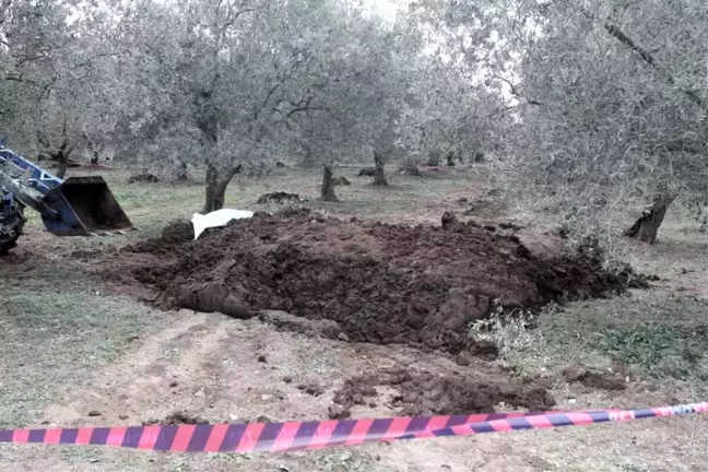 Orhangazi'de Zeytin Bahçesinde Cinayet Şüphelisi Koca İçin Kırmızı Bülten Çıkarıldı