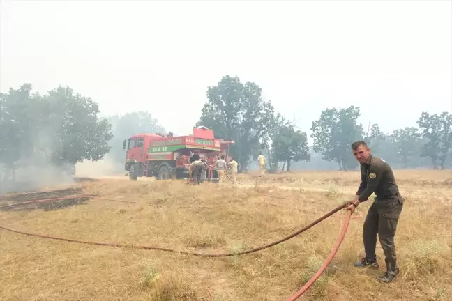 Edirne'de Bulgaristan sınırındaki yangına müdahale devam ediyor