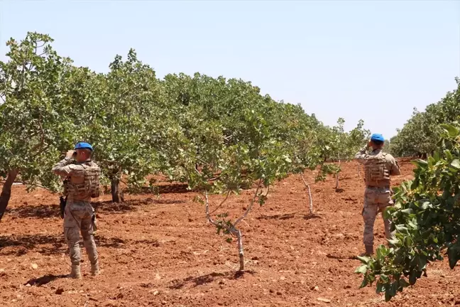 Jandarma, Gaziantep'te Antep fıstığı için koruma tedbirlerini artırdı