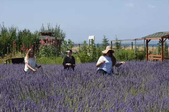 Van YYÜ Tıbbi Aromatik Bitkiler ve Geofit Bahçesi'nde Gezi ve Fotoğraf Günleri Başladı