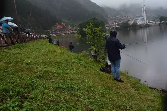 Uzungöl'de 7. Geleneksel Alabalık Avlama Yarışması Düzenlendi