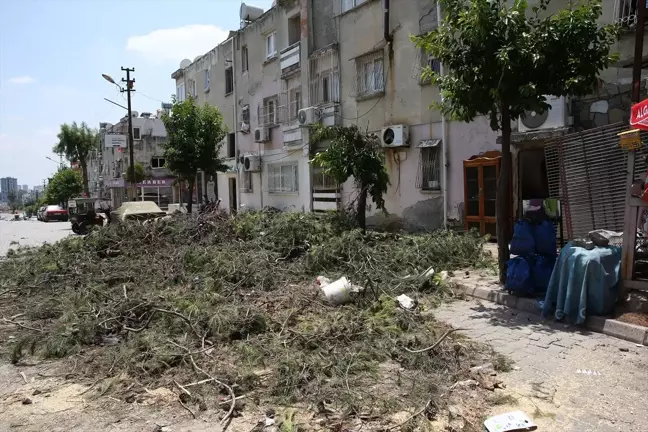 Adana'da fırtınada ağaç çocuğun yakınına devrildi