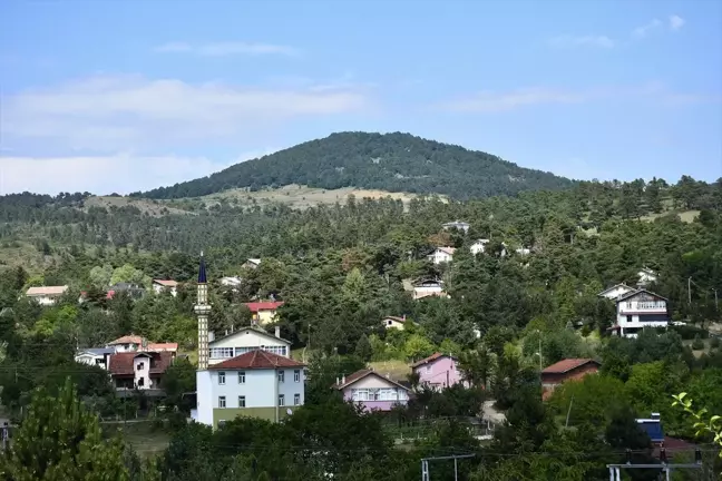 Tokat'ın Niksar ilçesindeki Çamiçi Yaylası doğaseverlerin uğrak noktası