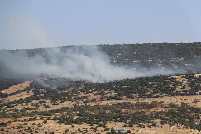 Kilis'teki Orman Yangını Havadan ve Karadan Söndürüldü