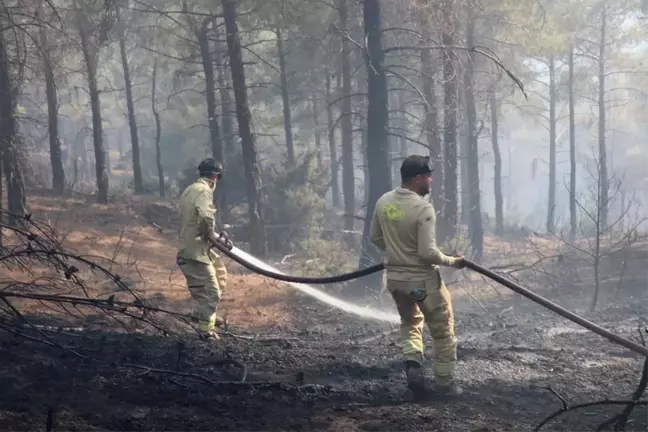 Kütahya'da Orman Yangını Kontrol Altına Alındı