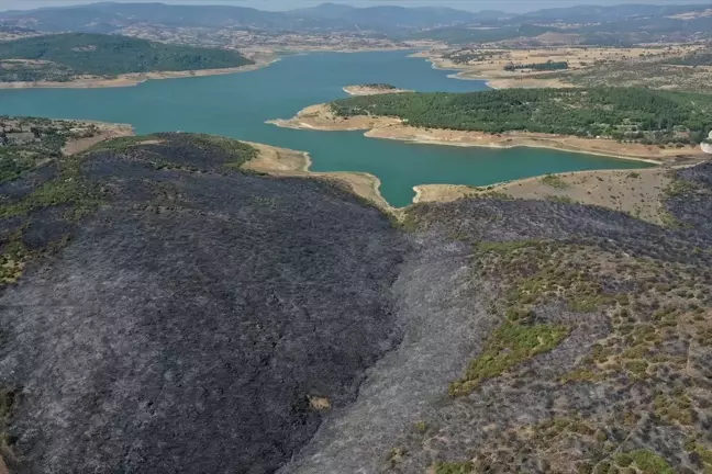 Balıkesir'deki yangın kontrol altına alındı