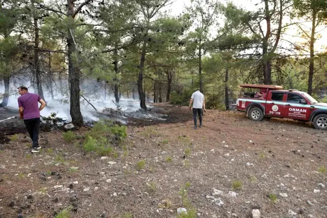 Uşak'ta tarlada başlayan yangın kısmen kontrol altına alındı