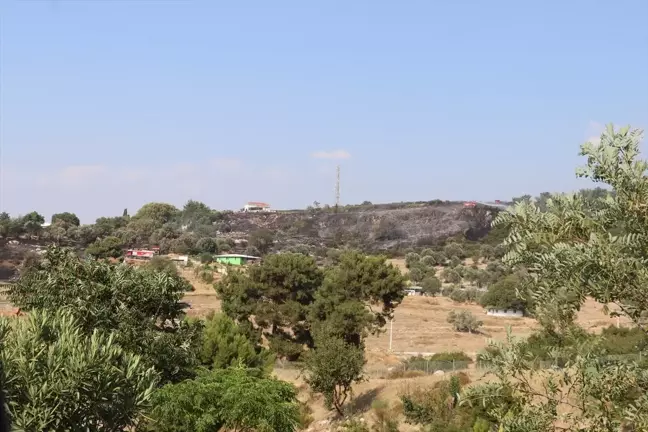 İzmir Buca'da Ormanlık Alanda Çıkan Yangın Kontrol Altına Alındı