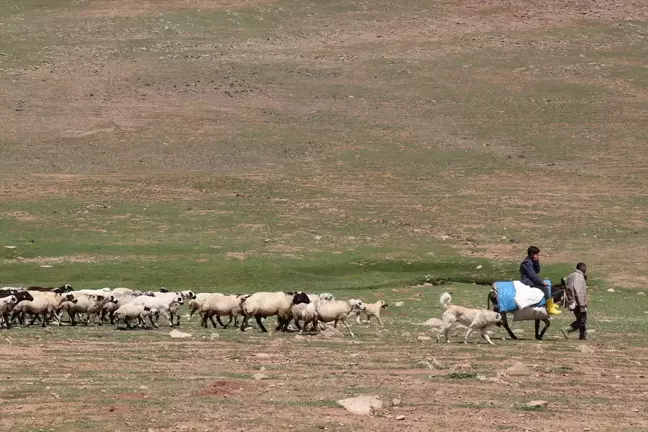 Erzurum'da göçer çocuklarına Kur'an-ı Kerim eğitimi