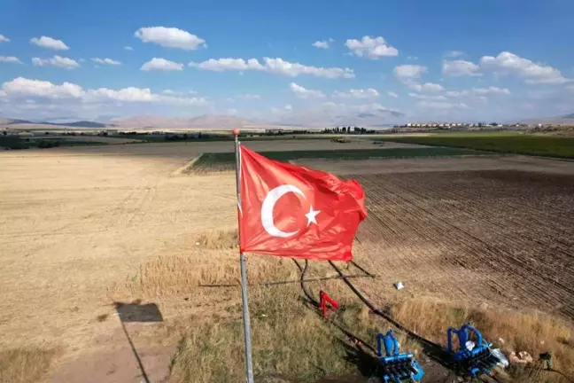 Tomarza'da Ekmeklik Buğday Hasadı Devam Ediyor