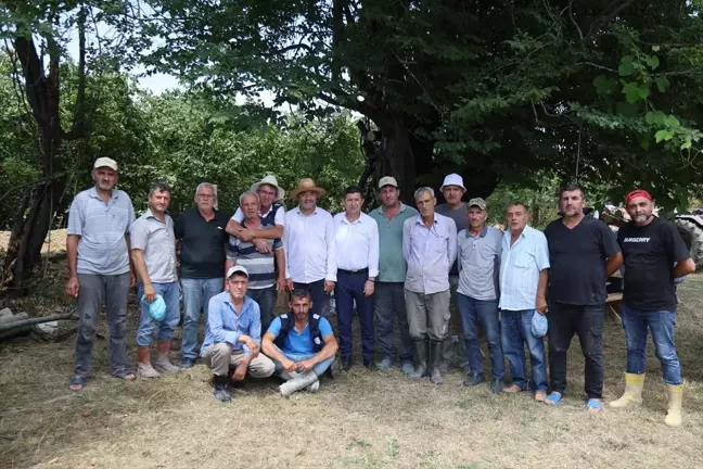 Kocaali'de Fındık Bahçelerine Ulaşım İçin Yol Çalışması Başlatıldı