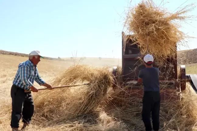 Erzincan'da tarım ve hayvancılıkla uğraşan köylüler, sıcak havada patos vurarak hayvanlarının kışlık yiyeceğini çıkarıyor