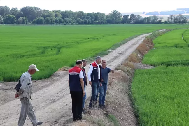 Edirne Tarım ve Orman Müdürü Tunca Nehri havzasında incelemede bulundu