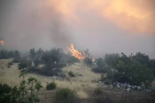 Antalya'nın Serik ilçesinde ormanlık alanda çıkan yangına müdahale ediliyor