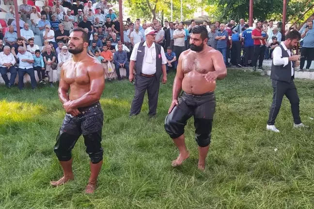 Sinop'ta Dikmen Yağlı Güreşleri ve Sırık Kebabı Kültür Festivali düzenlendi