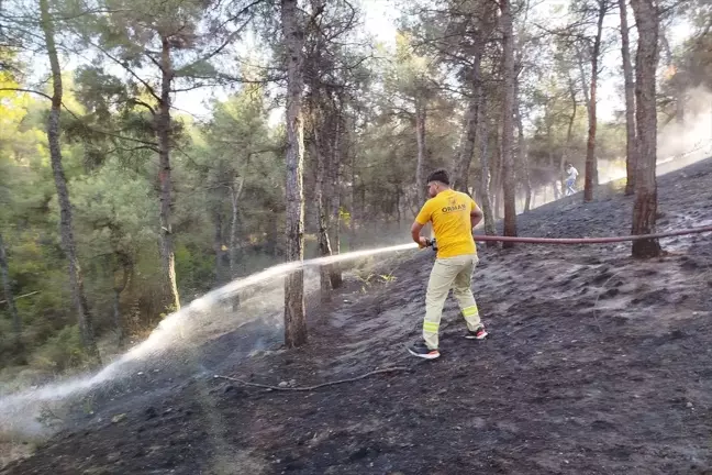 Sinop'un Boyabat ilçesinde ormanlık alanda çıkan yangın söndürüldü