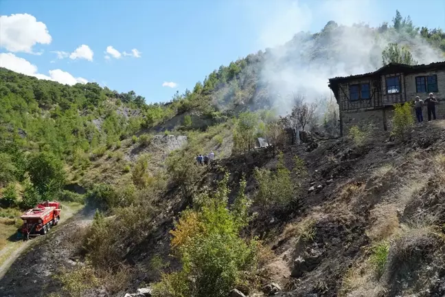 Çorum'un Osmancık ilçesinde orman yangını söndürüldü