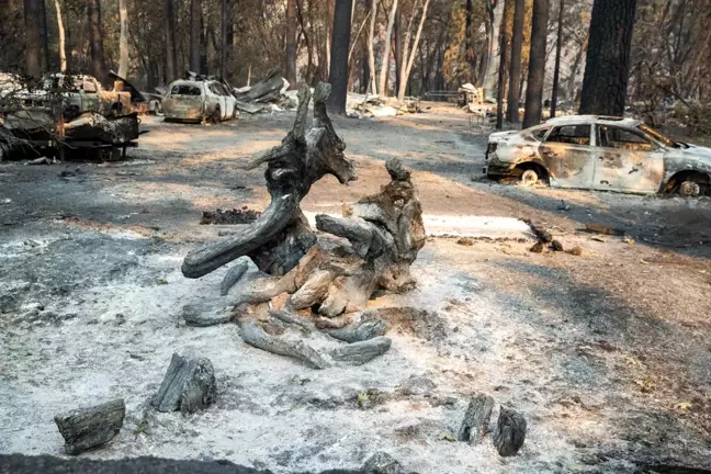 ABD'nin Kaliforniya eyaletinde Park Yangını hızla yayılıyor