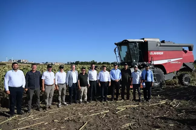 Trakya Tohum AŞ'nin yerli hibrit ayçiçeği tohumu hasat edildi